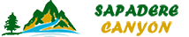 company logo here